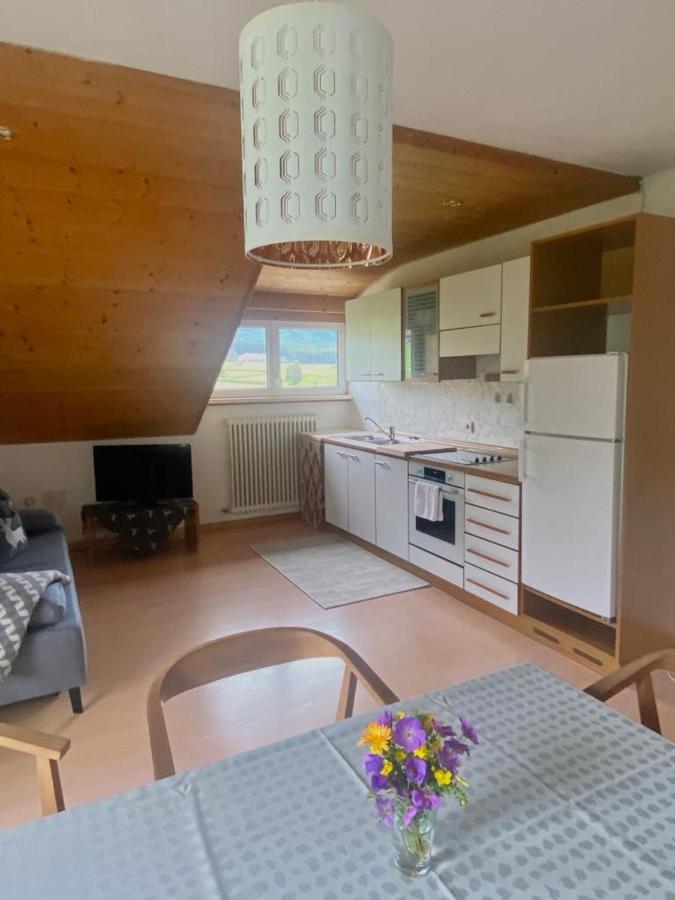 Schoenhuberhof Apartment Panoramablick Брунико Екстериор снимка